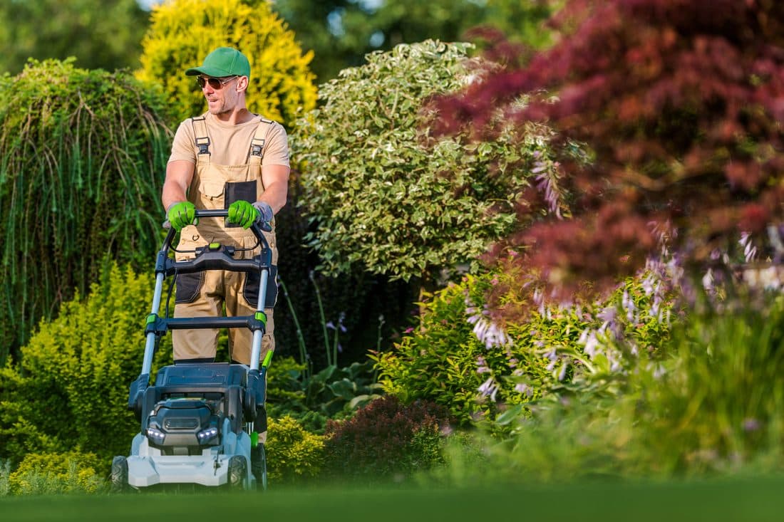Landscaper mowing a garden lawn